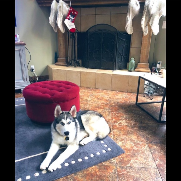 Meet Your Posher - Picture 1 of 7